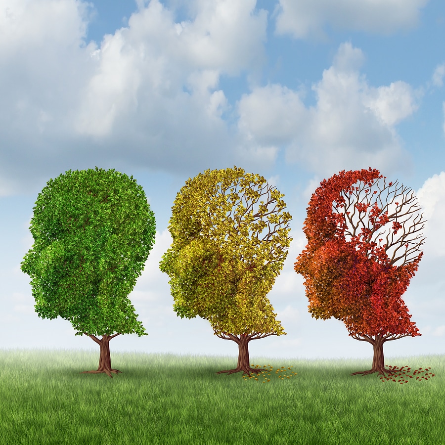 Care for a Senior in the Moderate Stages of Alzheimer’s Disease