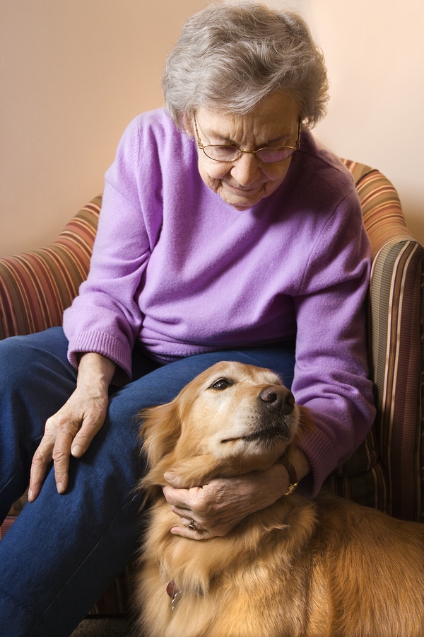 Should My Elderly Loved One Get a Pet?