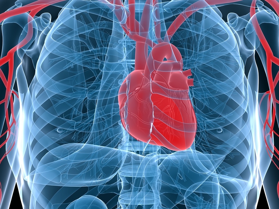 Is a Heart Murmur Serious?