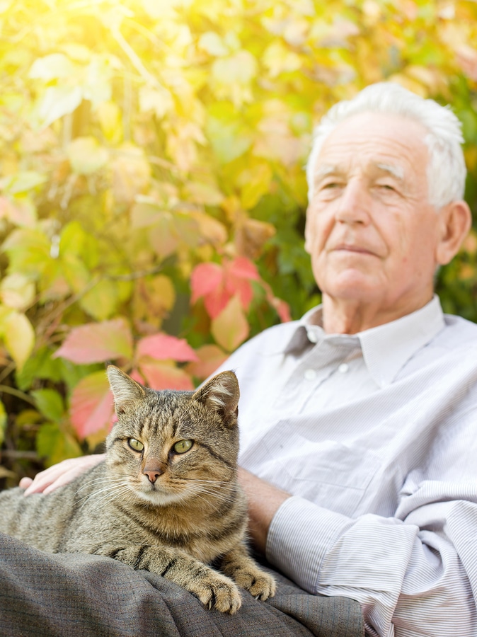 Why Senior Pets Are Perfect Companions for Older Adults