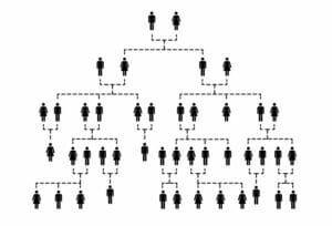 Researching Genealogy: Complicated family tree of several generations isolated on white