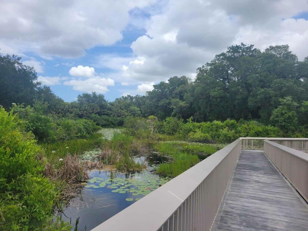Chapel Trail Nature Preserve - Walking Path Trail in Pembroke Pines, Florida - Broward County, FL