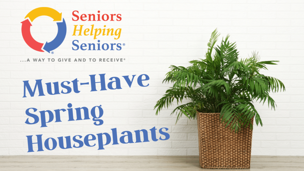 Three Must-Have Spring Houseplants For Greenery-Loving Seniors
