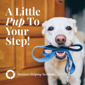 Helping senior dog walkers - dog holding leash with words "A Little Pup to Your Step"