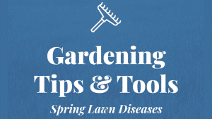Gardening Tips and Tools