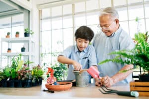 3 Must-Have Spring Houseplants For Greenery-Loving Seniors