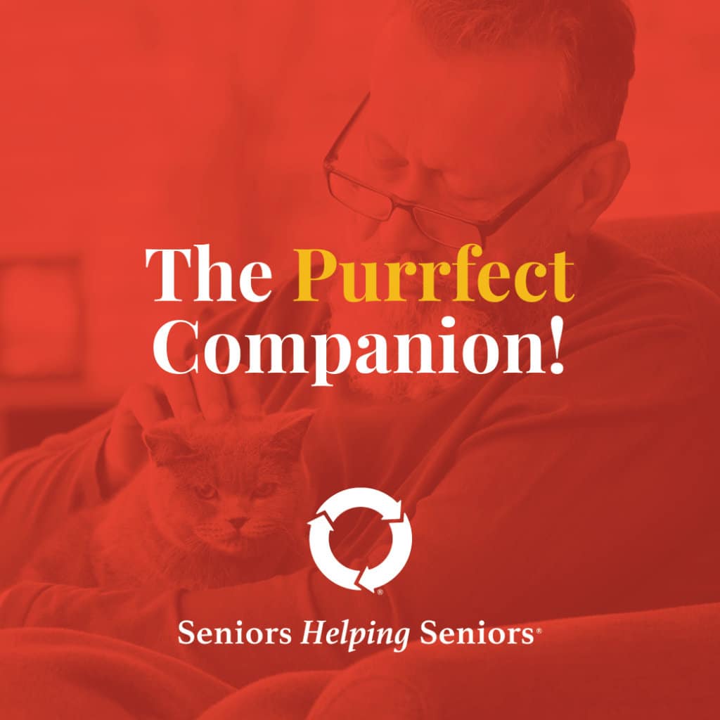 The Purrfect Companion: Discover The Perks of Pets with Seniors Helping Seniors® In-Home Services!