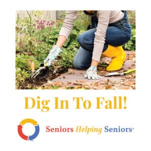 Dig in to fall with autumn planting