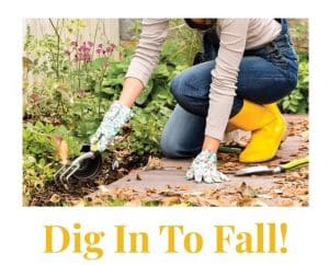 Dig Into Fall