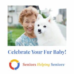 Celebrate Your Fur Baby!