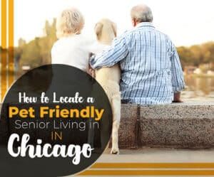 How to Locate a Pet Friendly Senior Living in Chicago