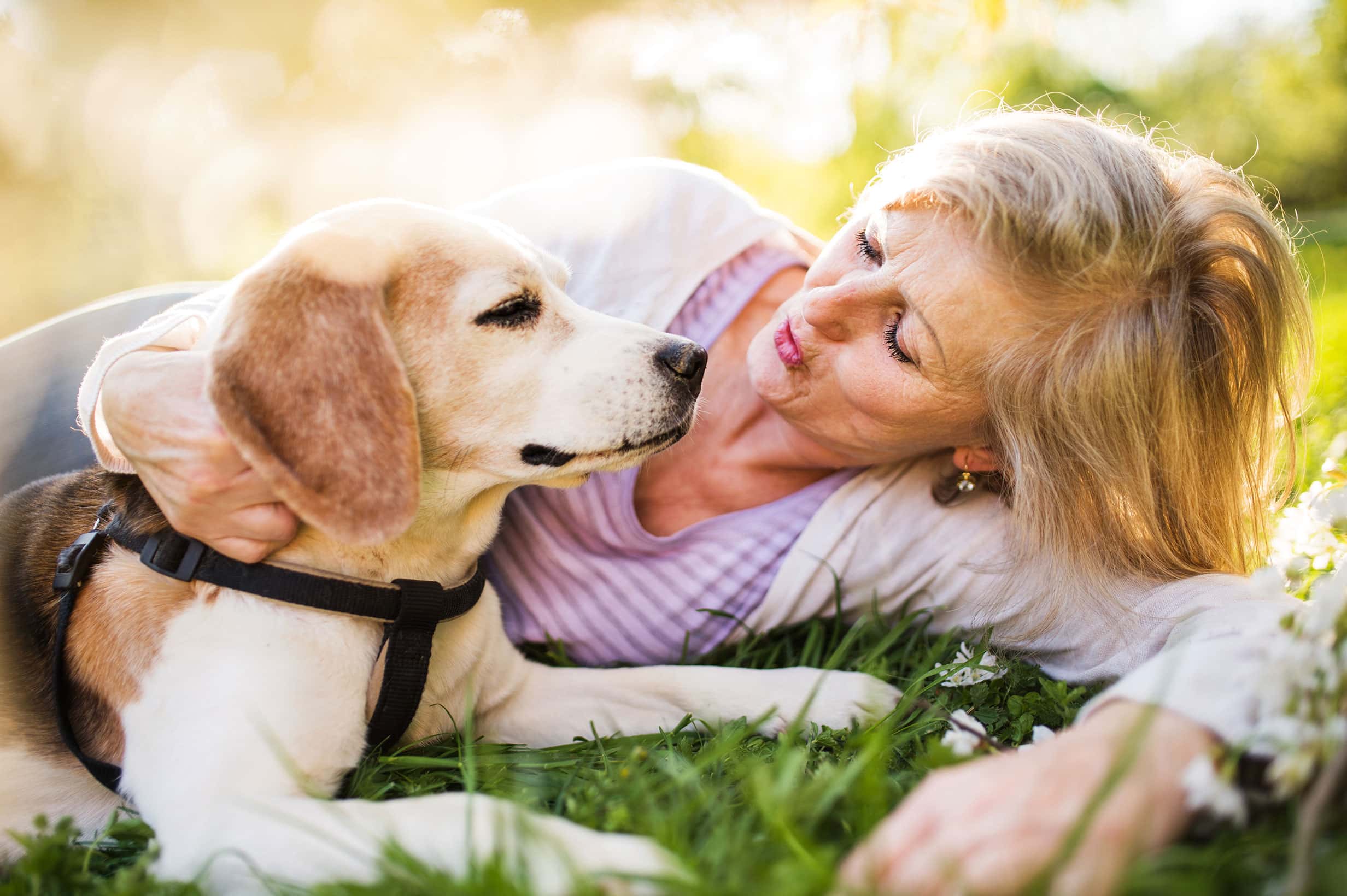 Pet-Friendly Summer Activities for Seniors: Enjoying the Season with Your Furry Friends