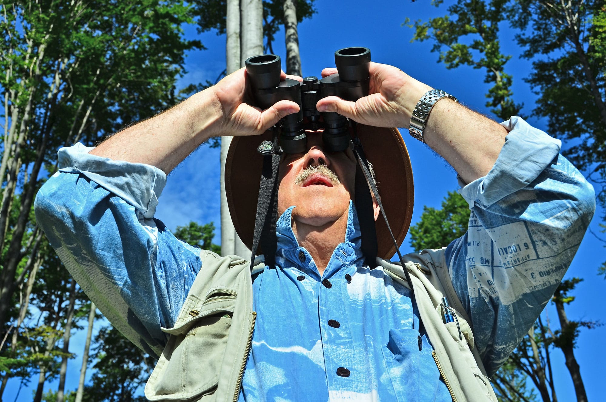 Birdwatching Made Easy for Seniors: How to Create the Perfect Backyard Bird Haven