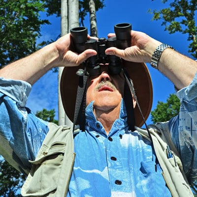 Birdwatching Made Easy for Seniors: How to Create the Perfect Backyard Bird Haven