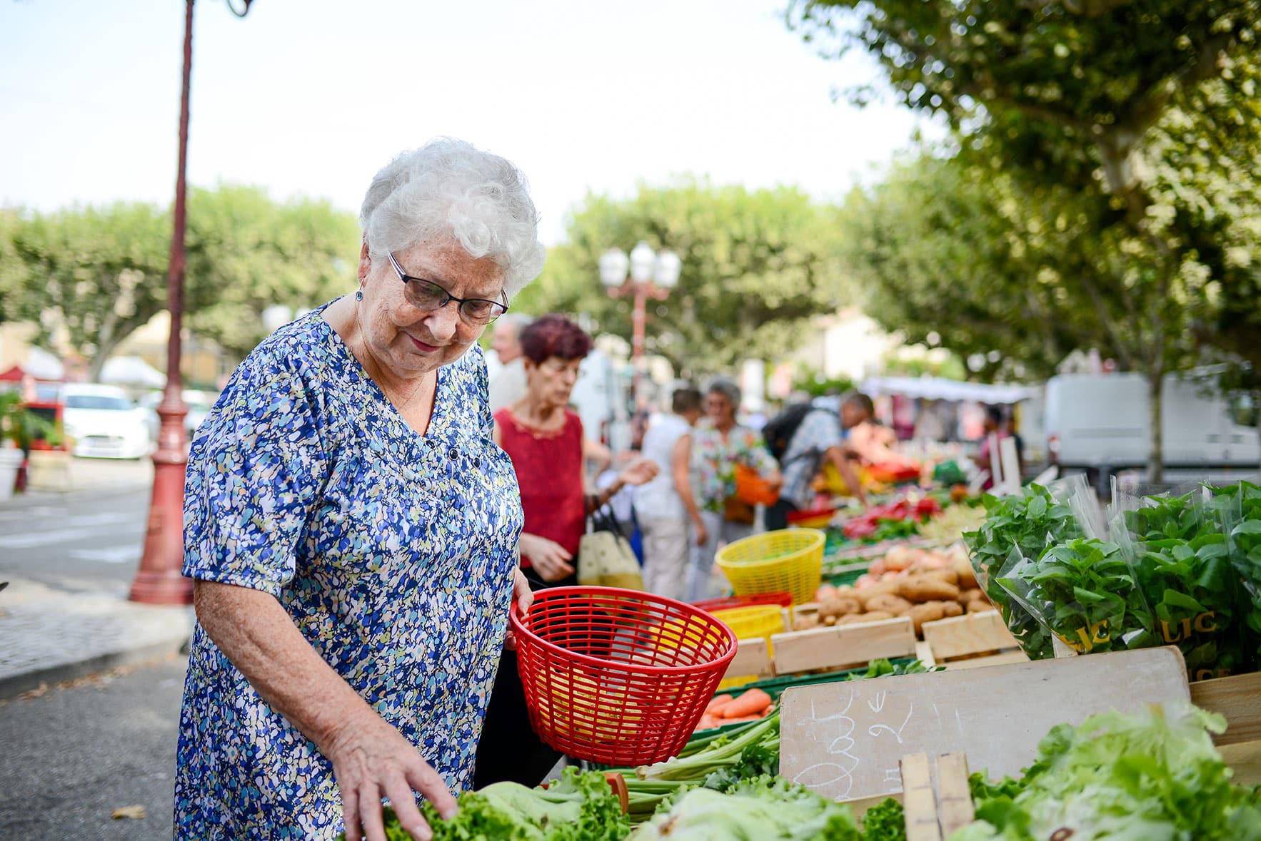 Fresh Finds & Friendly Faces: A Senior’s Guide to Celebrating National Farmers Market Week