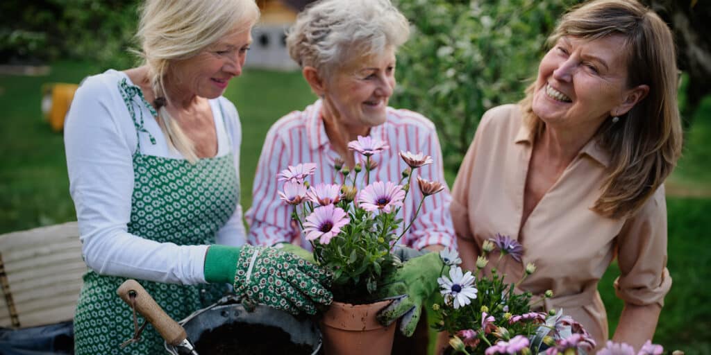 Seniors Gardening Together in Manhattan Beach