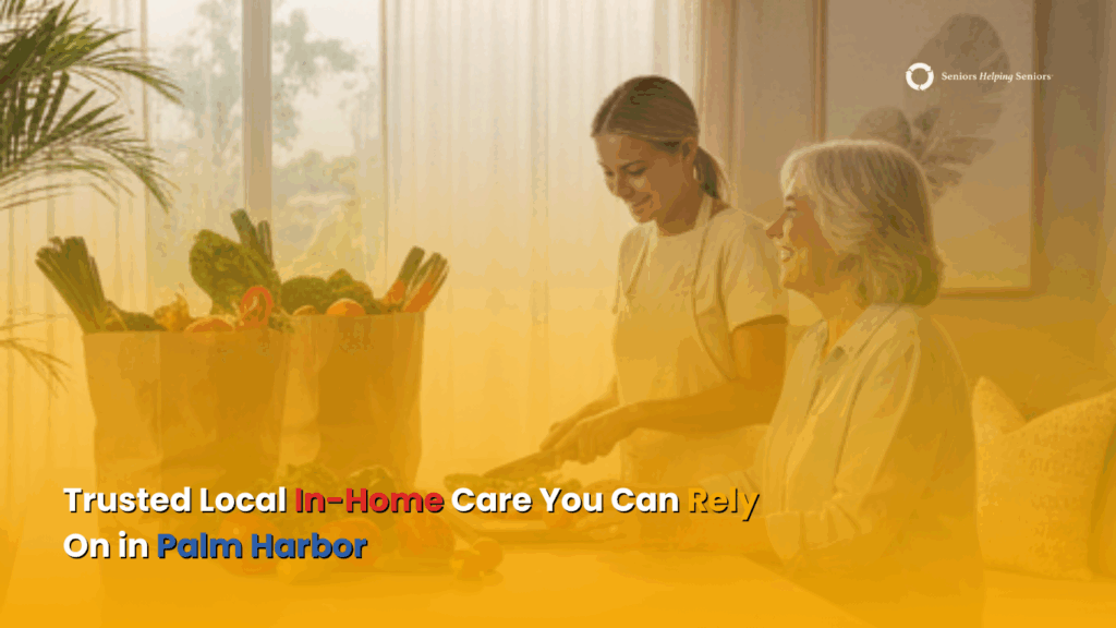 Homemaker services helping a senior at home in Palm Harbor