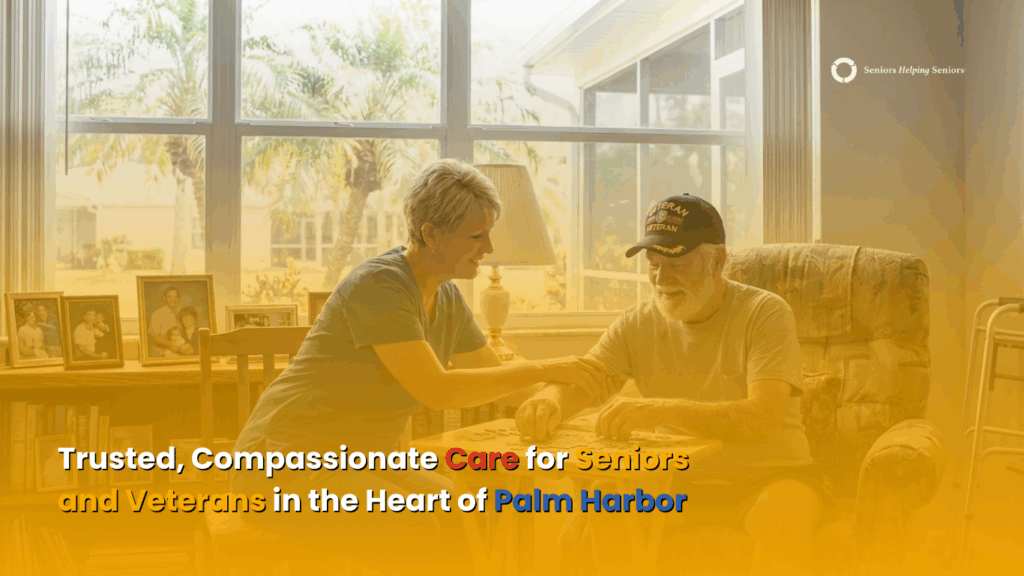 Caregiver assisting an older adult at home in Palm Harbor, Florida