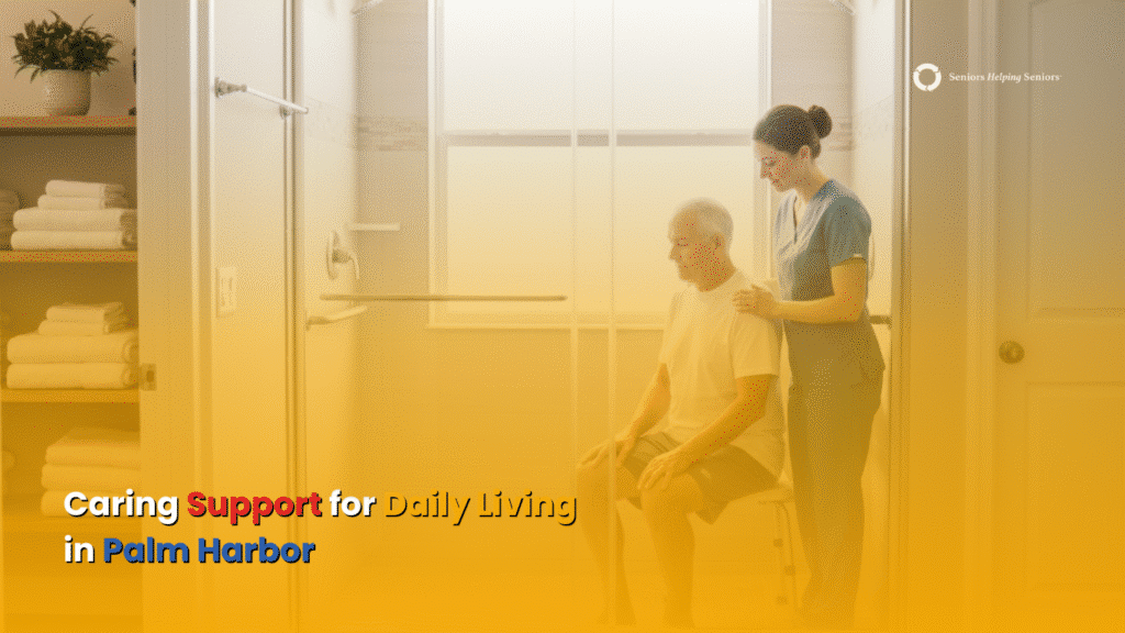 Caregiver assisting an older adult in Palm Harbor