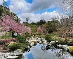 Putting a Spring in Your Step: Healthy Aging this March in San Jose