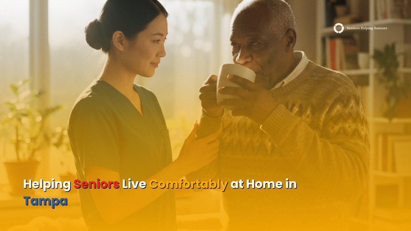 Homemaker vs Personal Care in Tampa: What Does Your Loved One Need?