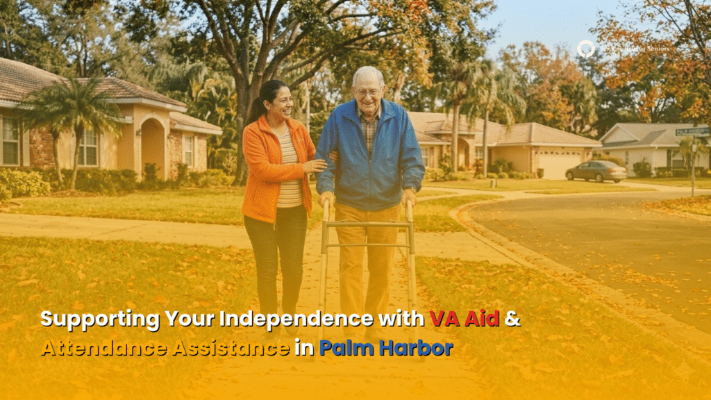 Safe mobility support for older adult in Palm Harbor Florida