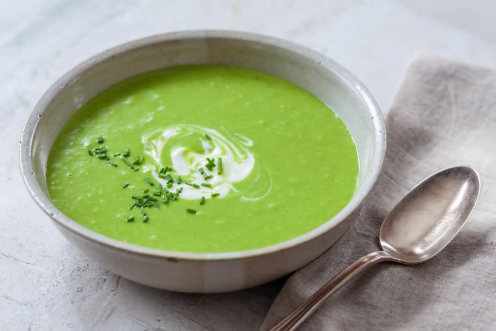 Seniors Helping Seniors caregiver and San Jose senior enjoying a local Earth Day event