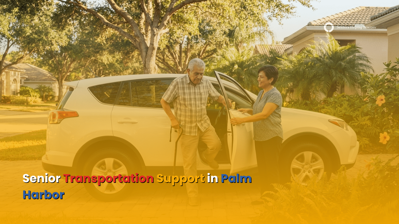 Senior Transportation Services in Palm Harbor: What Families Need to Know
