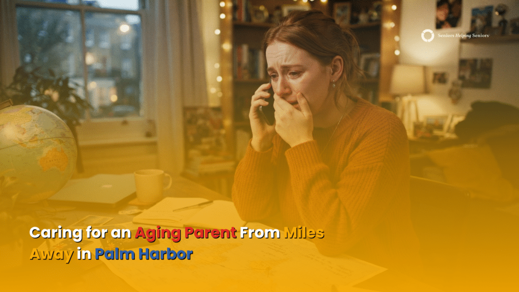 Caring for an Aging Parent From Miles Away in Palm Harbor